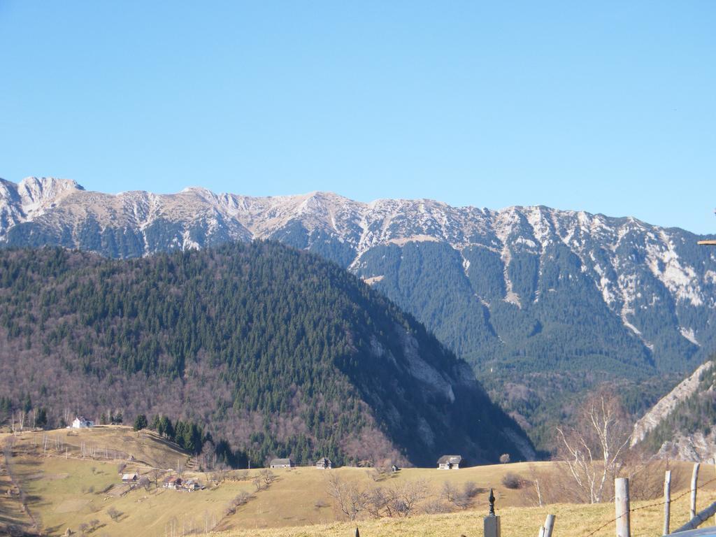 Garofita Pietrei Craiului Hotel Pestera  Exterior photo